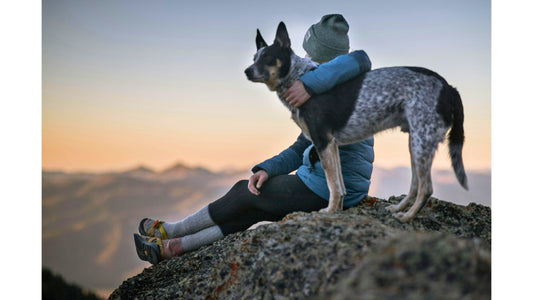 Best Hikes for Dogs