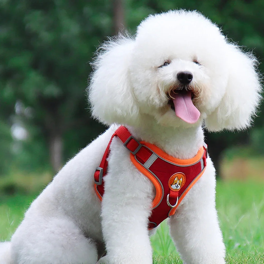 Dog Harness, adjustable reflective no-pull vest.