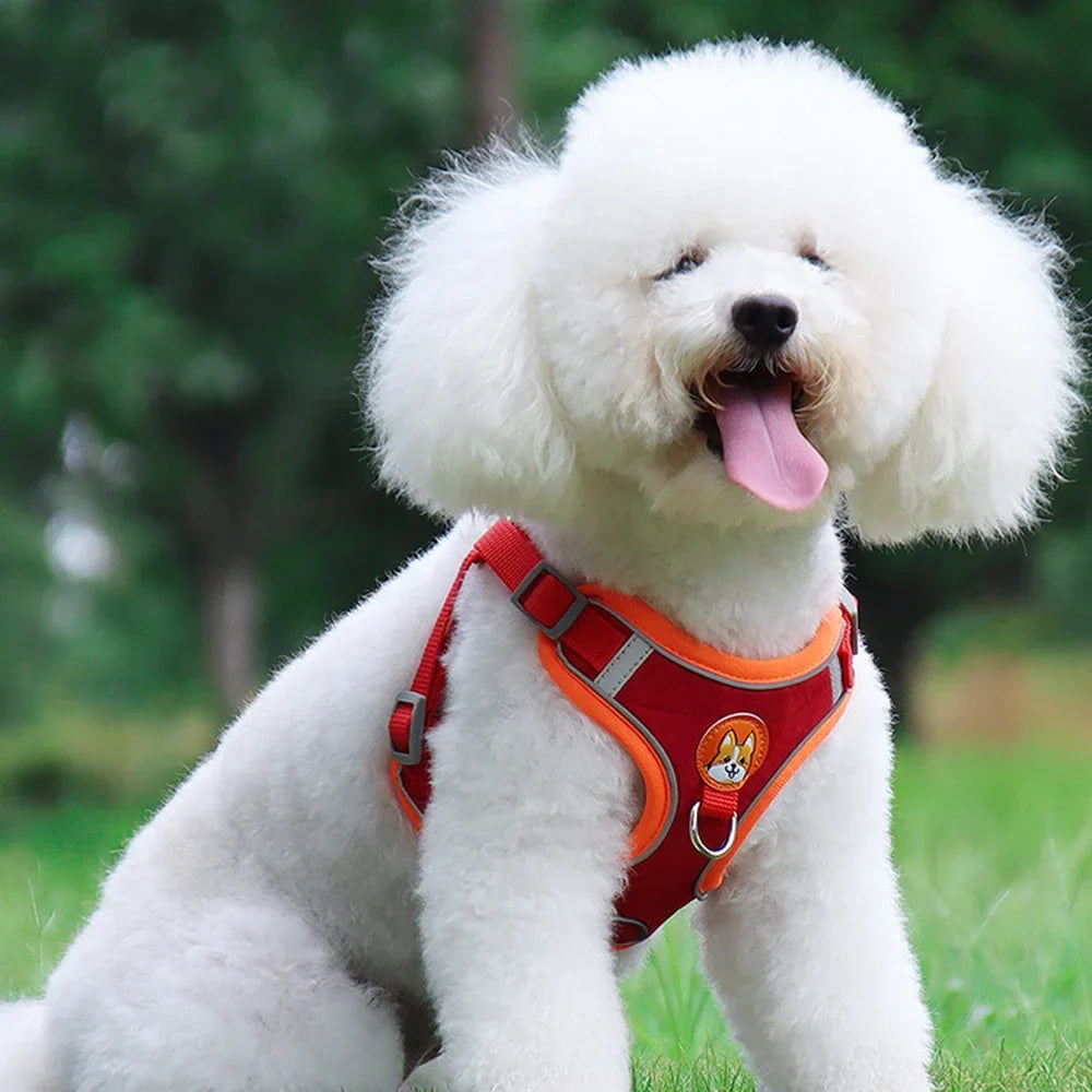 Summit Reflective Dog Harness & Leash Set product photo – Lost Lake Outdoor