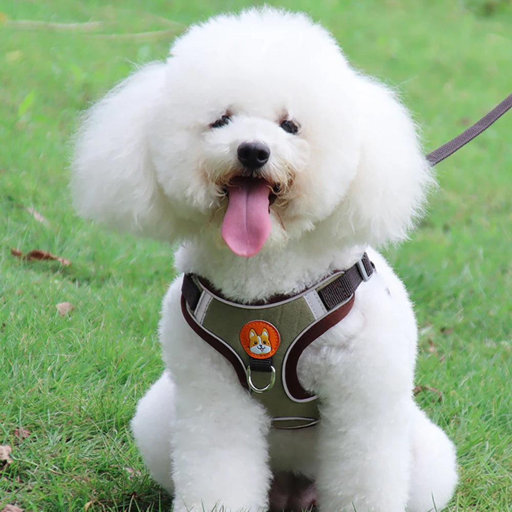 Dog Harness, adjustable reflective no-pull vest.