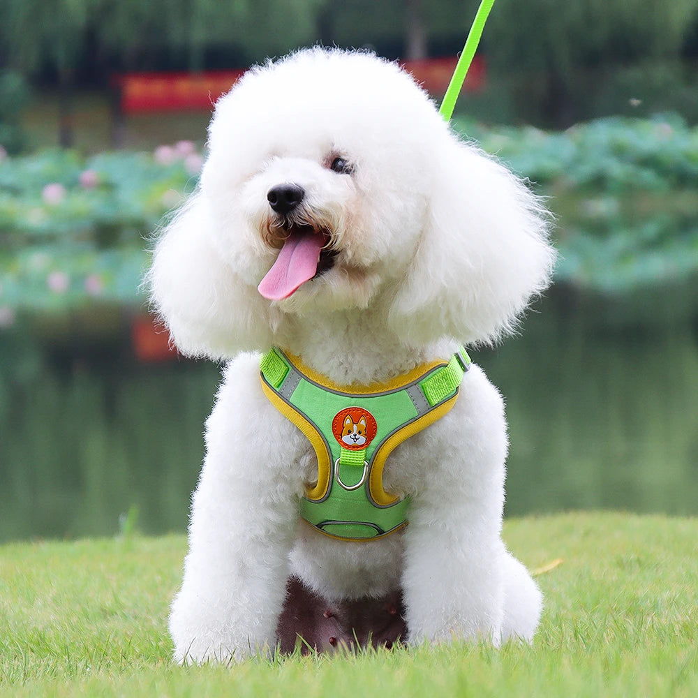 Dog Harness, adjustable reflective no-pull vest.