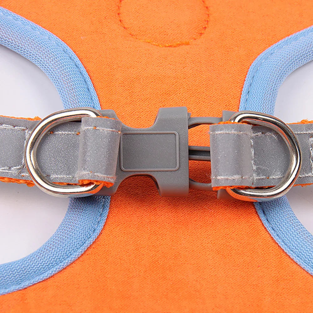 Summit Reflective Dog Harness & Leash Set product photo – Lost Lake Outdoor