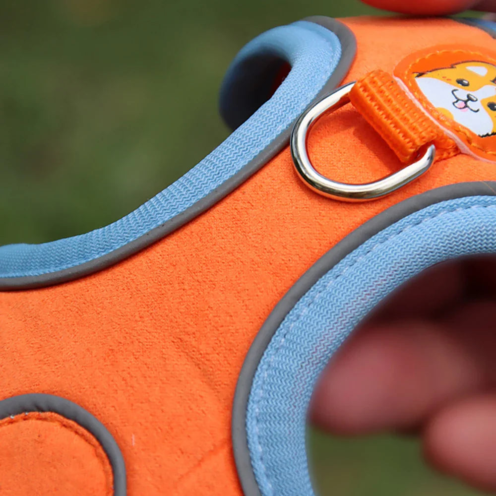 Summit Reflective Dog Harness & Leash Set product photo – Lost Lake Outdoor
