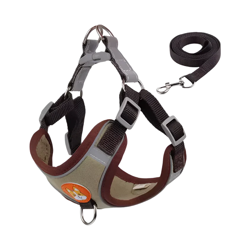 Summit Reflective Dog Harness & Leash Set product photo – Lost Lake Outdoor