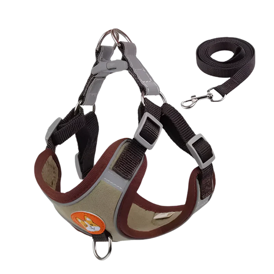 Summit Reflective Dog Harness & Leash Set product photo – Lost Lake Outdoor