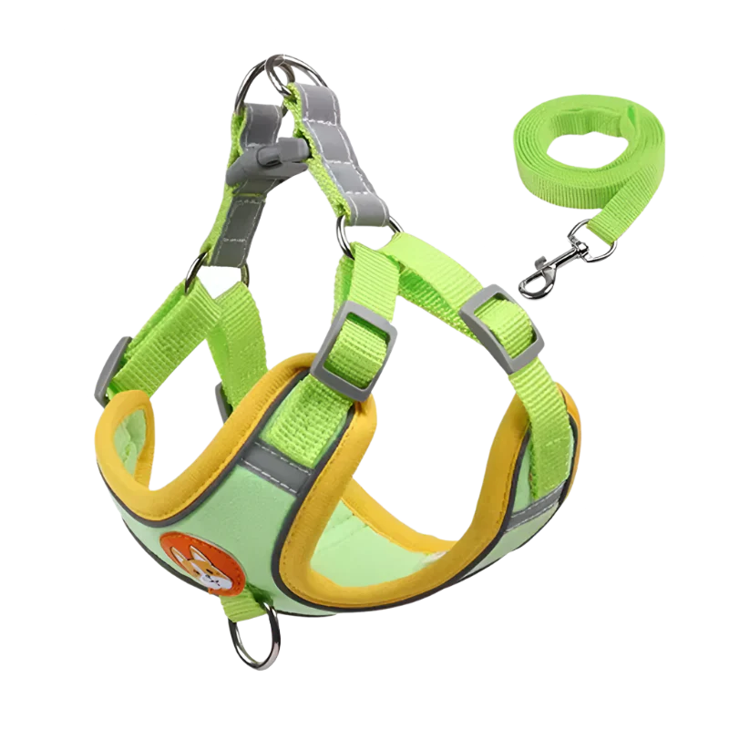 Summit Reflective Dog Harness & Leash Set product photo – Lost Lake Outdoor