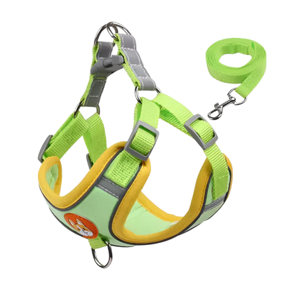 Summit Reflective Dog Harness & Leash Set product photo – Lost Lake Outdoor