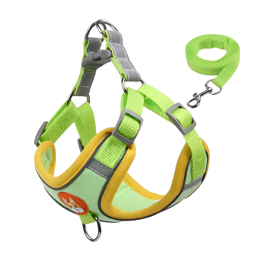Summit Reflective Dog Harness & Leash Set product photo – Lost Lake Outdoor