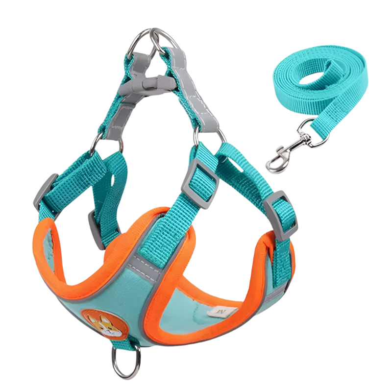 Blue Dog Harness, adjustable reflective no-pull vest.