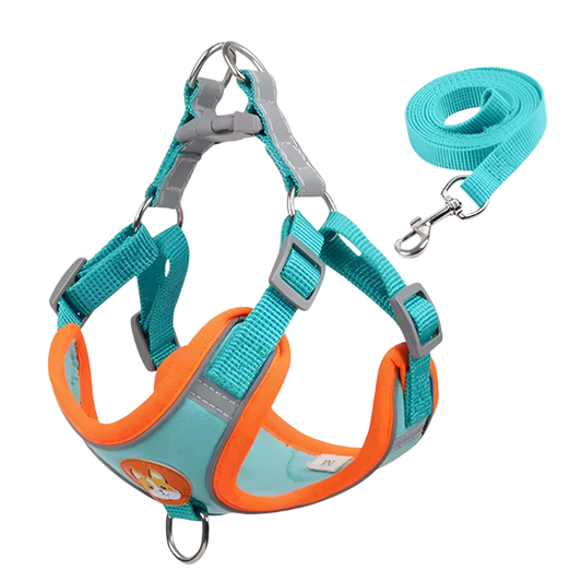 Blue Dog Harness, adjustable reflective no-pull vest.