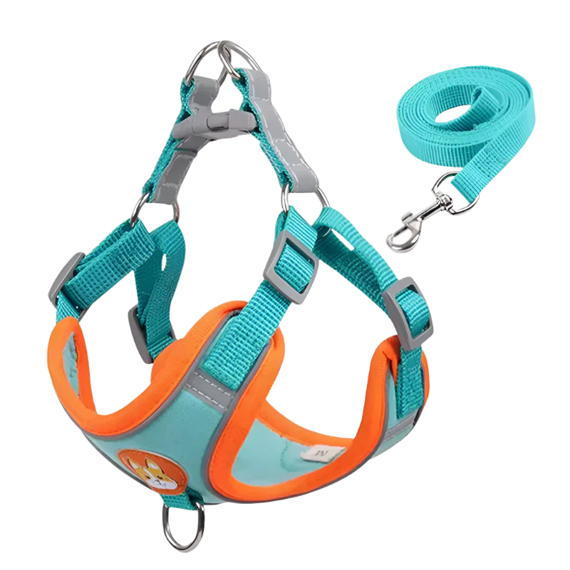 Summit Reflective Dog Harness & Leash Set product photo – Lost Lake Outdoor