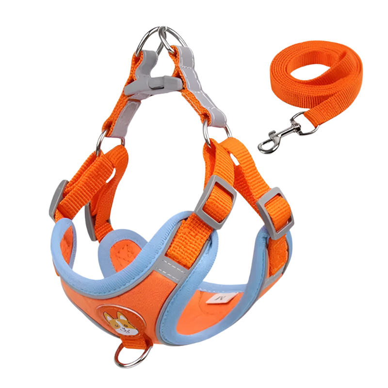 Orange Dog Harness, adjustable reflective no-pull vest.