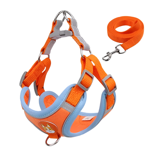 Orange Dog Harness, adjustable reflective no-pull vest.