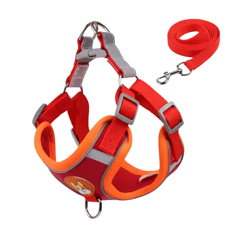 Summit Reflective Dog Harness & Leash Set product photo – Lost Lake Outdoor