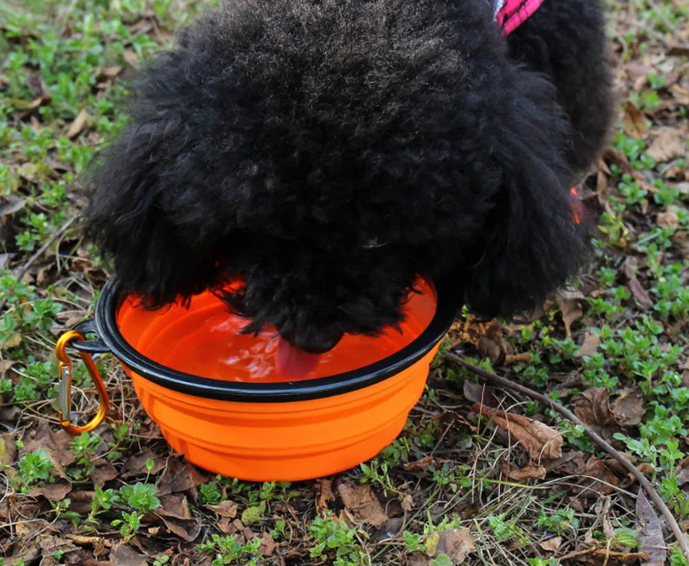 Collapsible Dog Bowl, portable silicone travel dish.