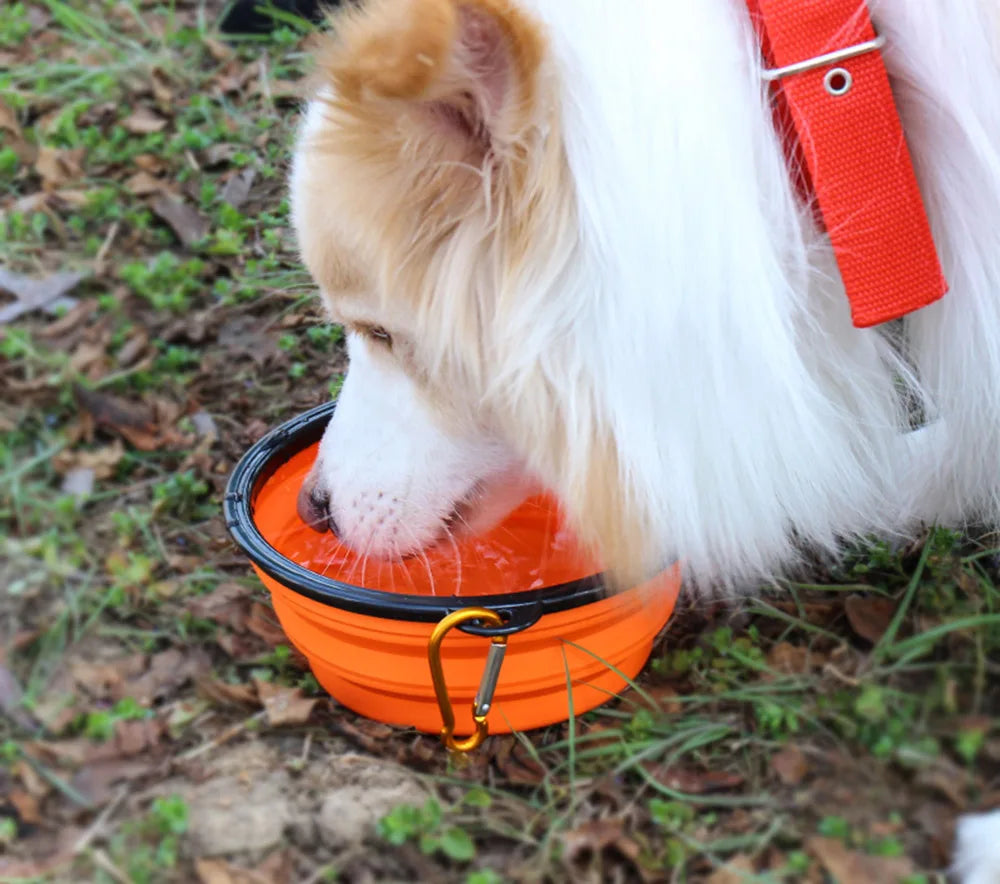 Collapsible Dog Bowl, portable silicone travel dish.