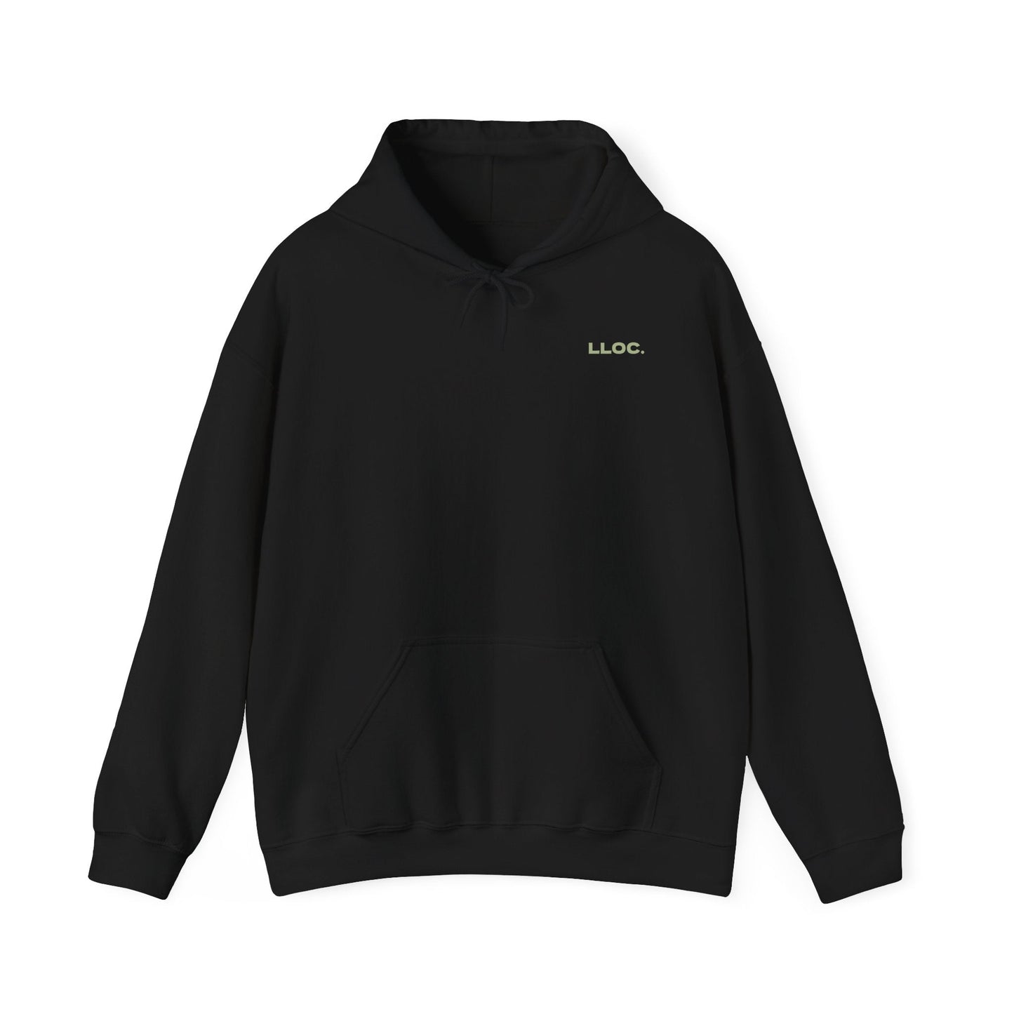 Coordinate Unisex Pullover Hoodie product photo – Lost Lake Outdoor