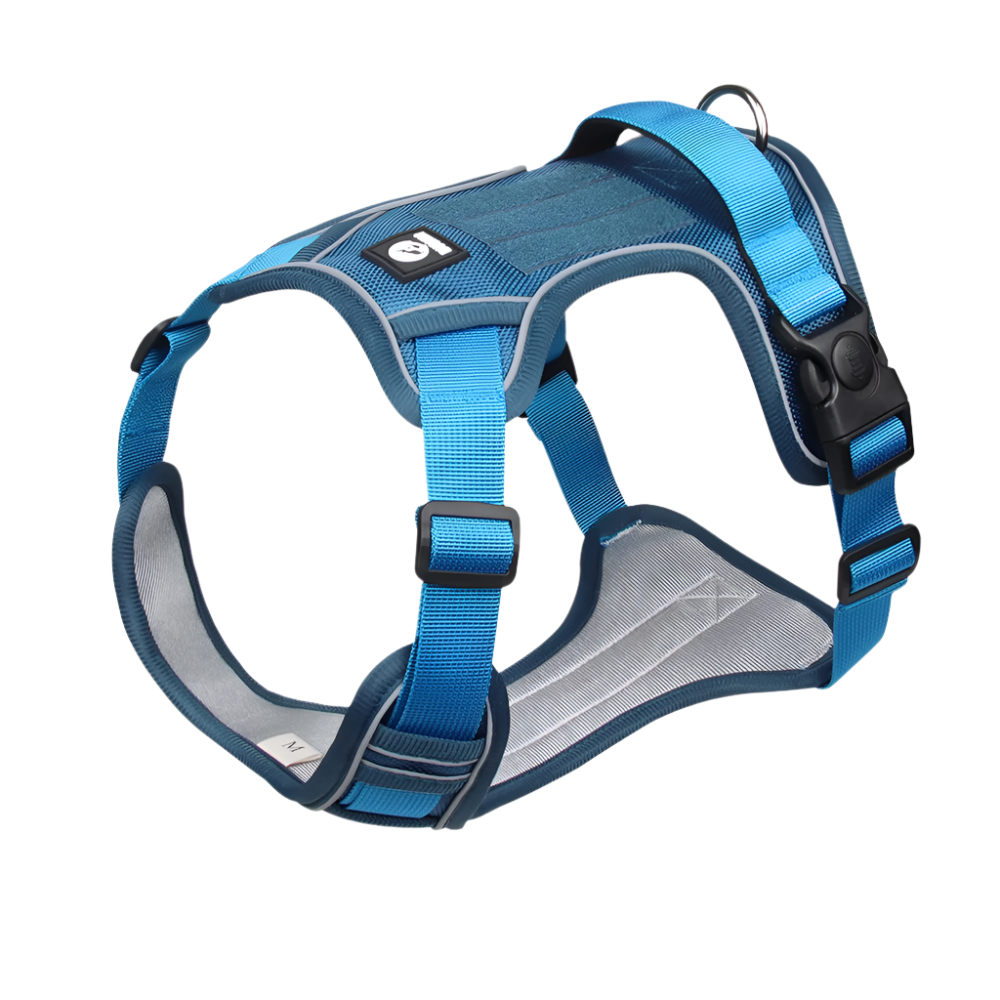 Blue Dog Harness, reflective waterproof no-pull vest.