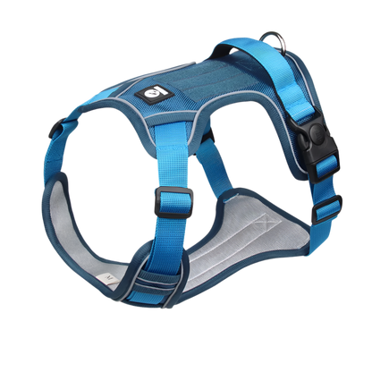 Blue Dog Harness, reflective waterproof no-pull vest.