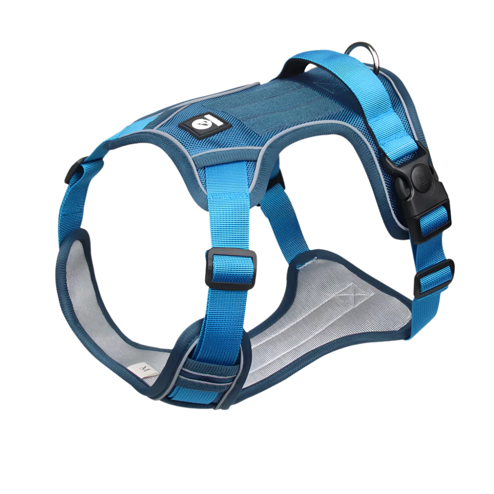 Glacier Waterproof Dog Harness product photo – Lost Lake Outdoor
