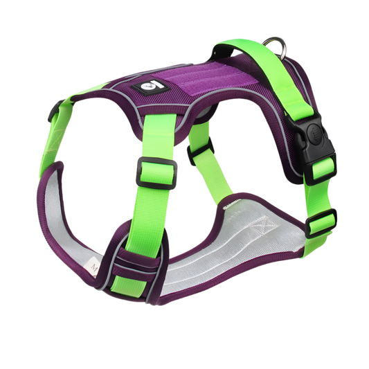 Purple Neon Dog Harness, reflective waterproof no-pull vest.