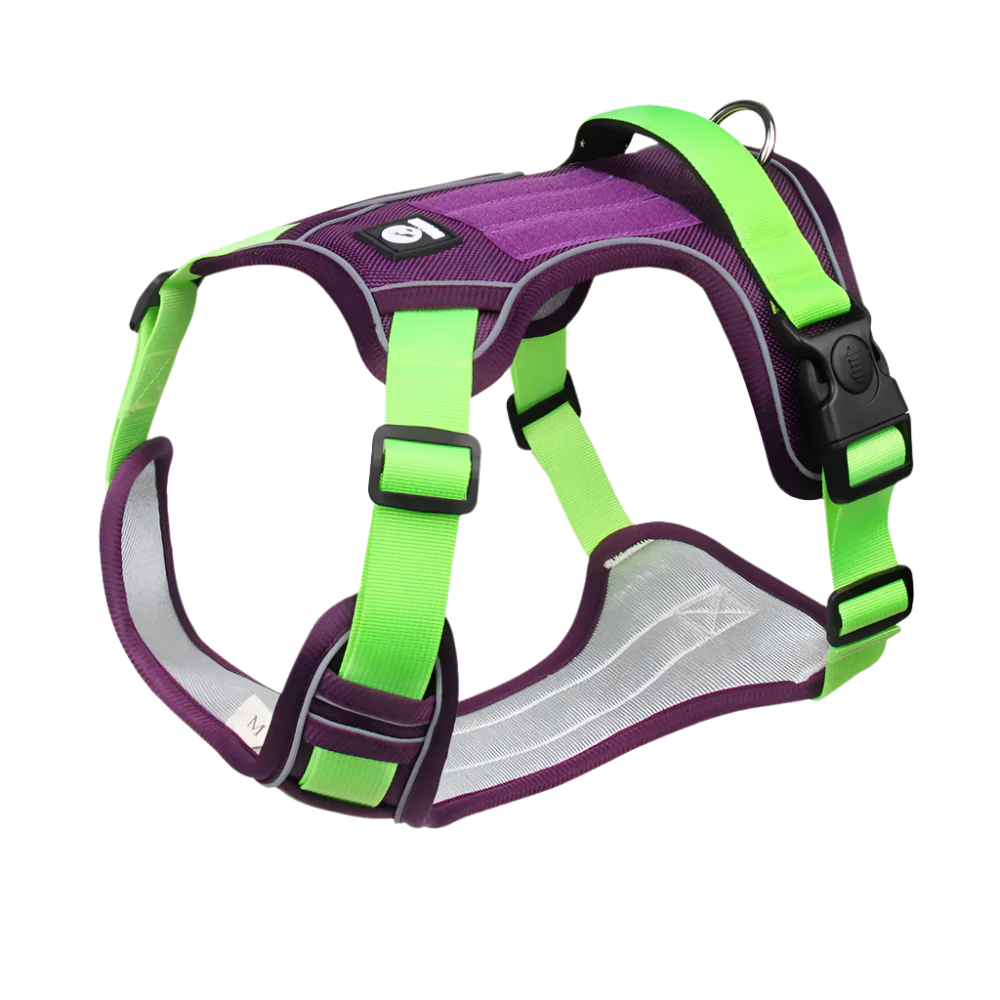 Glacier Waterproof Dog Harness product photo – Lost Lake Outdoor