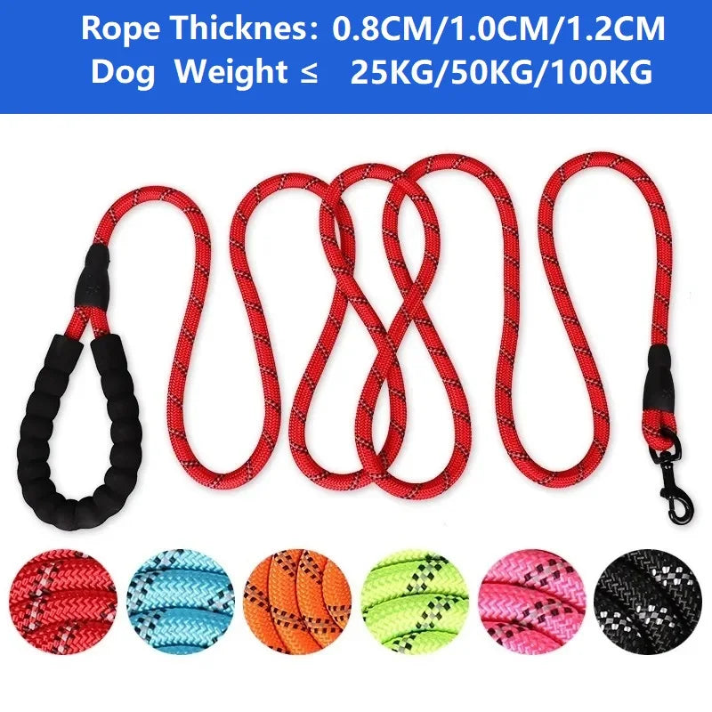 Trailguard Reflective Dog Leash product photo – Lost Lake Outdoor