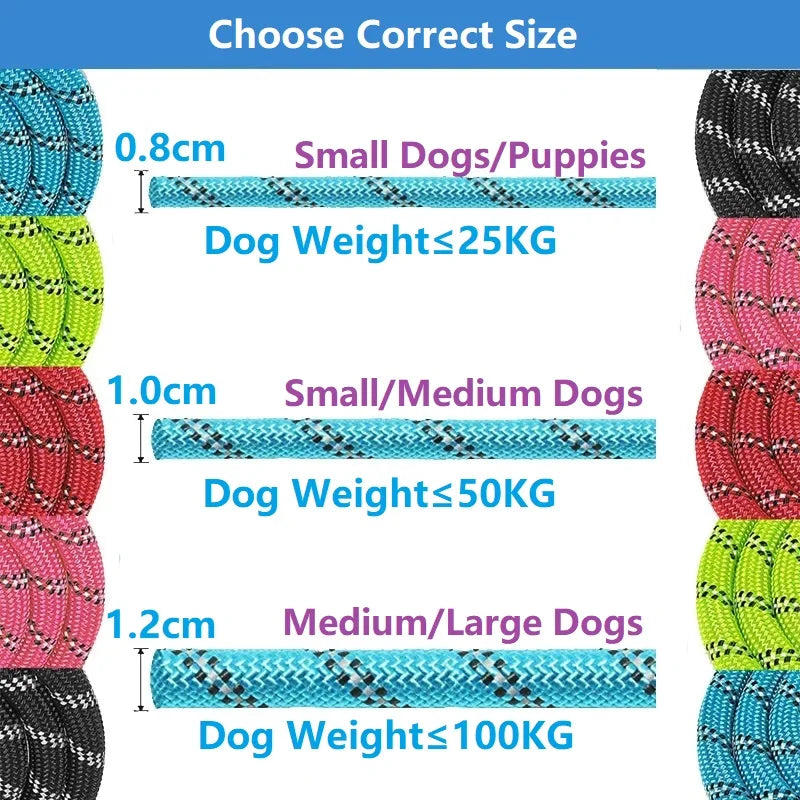 Trailguard Reflective Dog Leash product photo – Lost Lake Outdoor