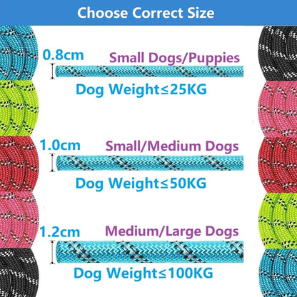 Trailguard Reflective Dog Leash product photo – Lost Lake Outdoor