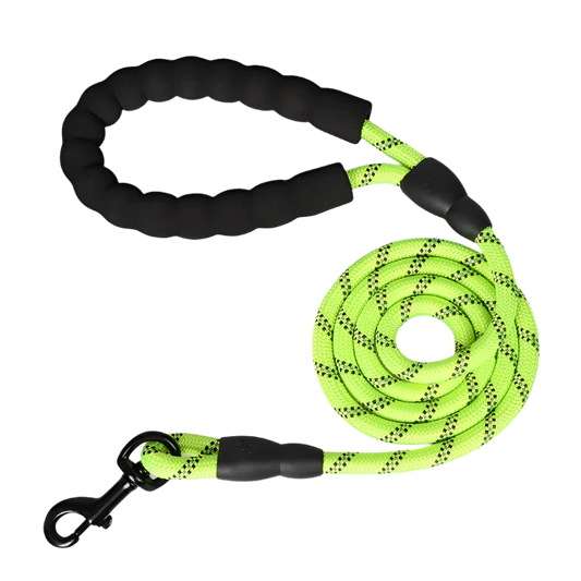 Trailguard Reflective Dog Leash product photo – Lost Lake Outdoor
