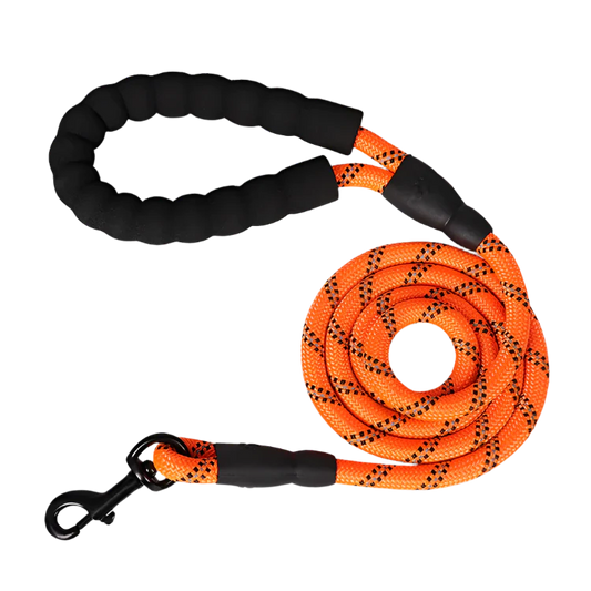 Trailguard Reflective Dog Leash product photo – Lost Lake Outdoor