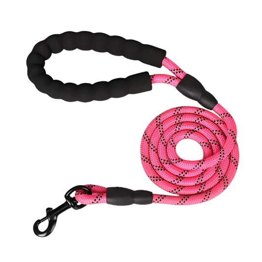 Trailguard Reflective Dog Leash product photo – Lost Lake Outdoor