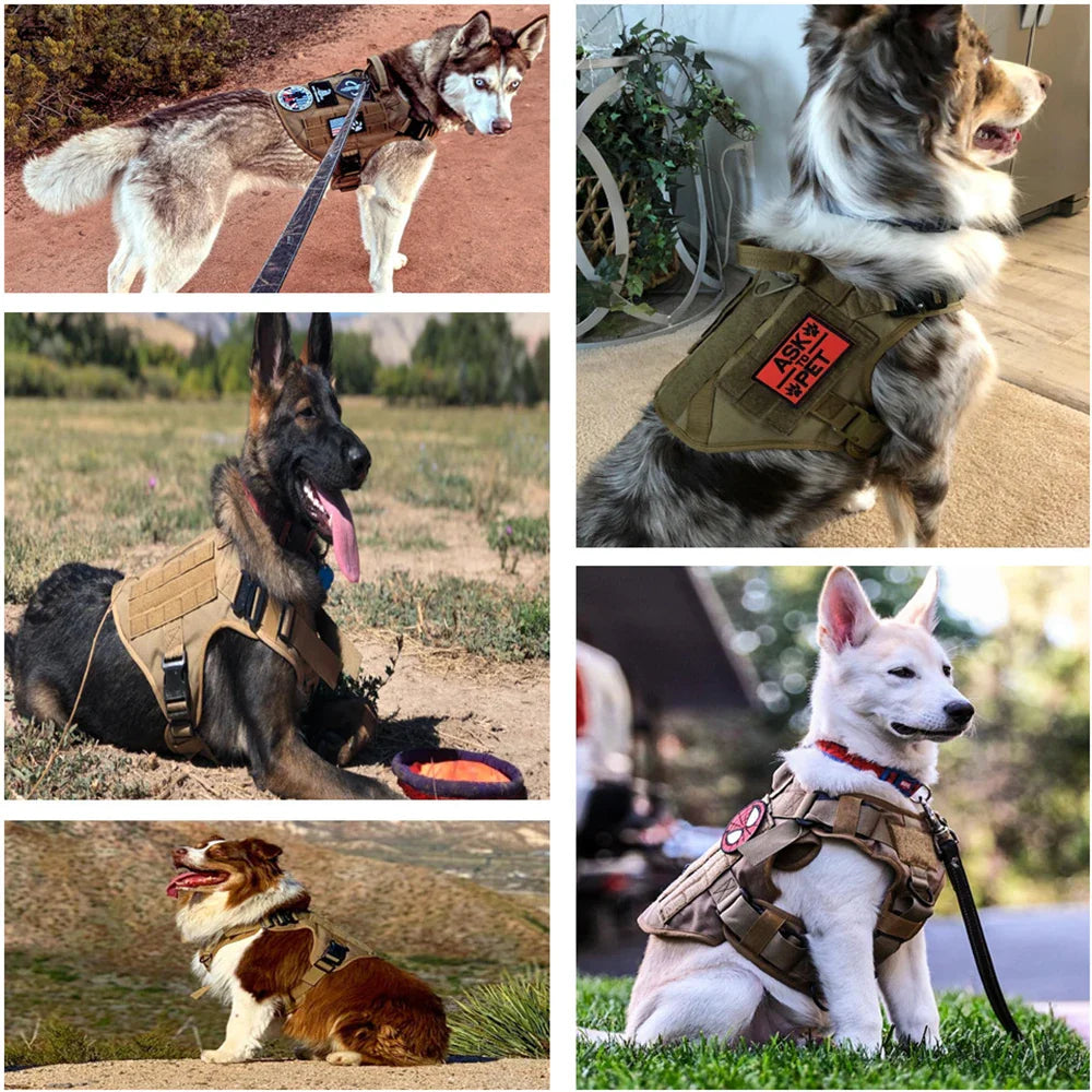 Ranger Tactical Dog Harness – Heavy Duty No-Pull Vest product photo – Lost Lake Outdoor